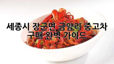 세종시 장군면 금암리 중고차 구매 완벽 가이드